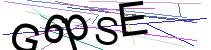 Dieses Bild enthält ein Buchstaben-Zahlen-Rätsel und dient dazu, Spam-Programme fernzuhalten. 
